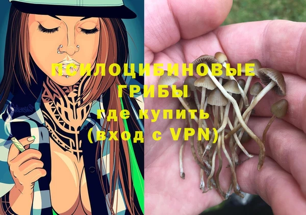 ALPHA PVP Богородск